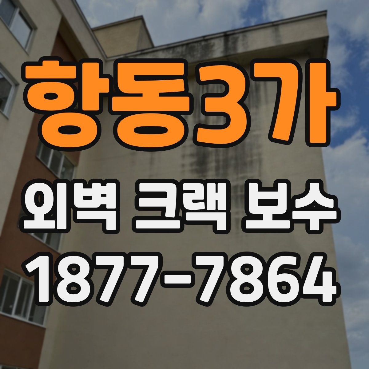 항동3가 외벽 크랙 보수