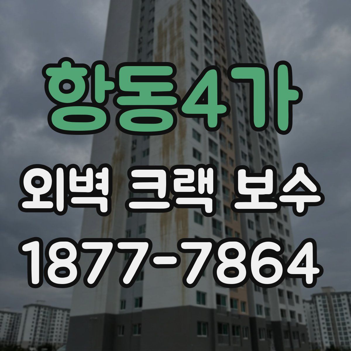 항동4가 외벽 크랙 보수