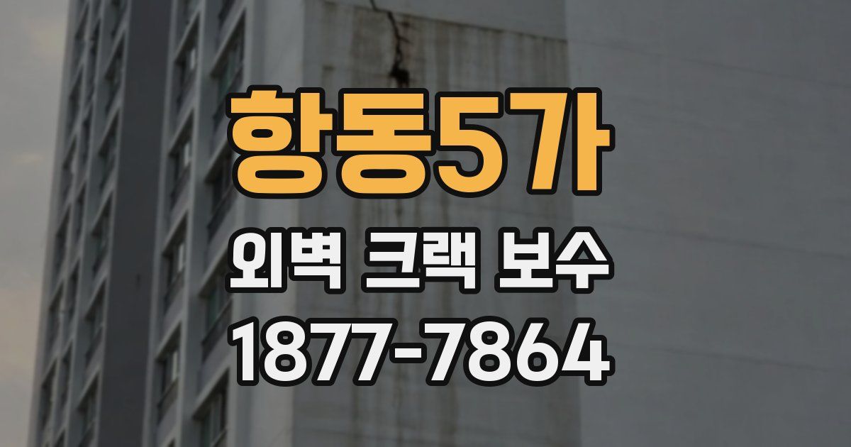 항동5가 외벽 크랙 보수