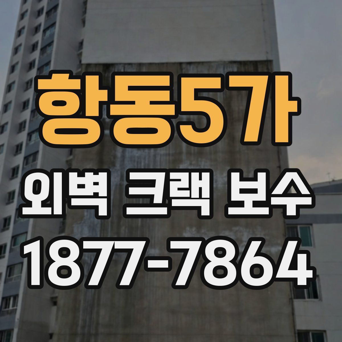 항동5가 외벽 크랙 보수