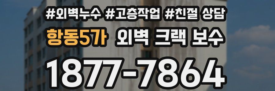 항동5가 외벽 크랙 보수