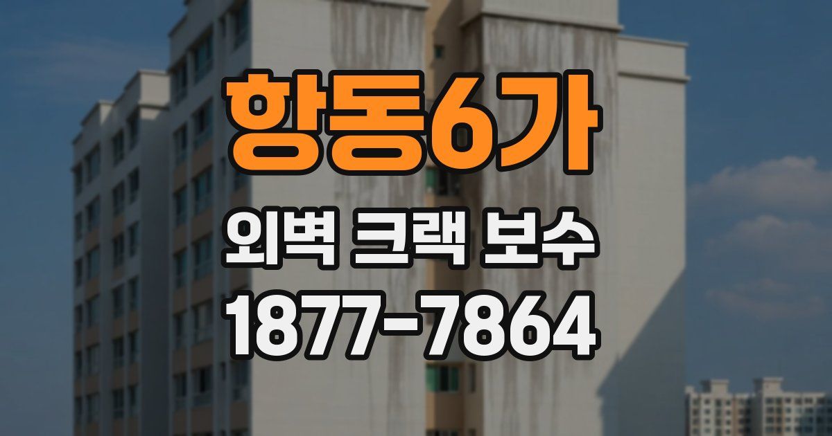 항동6가 외벽 크랙 보수