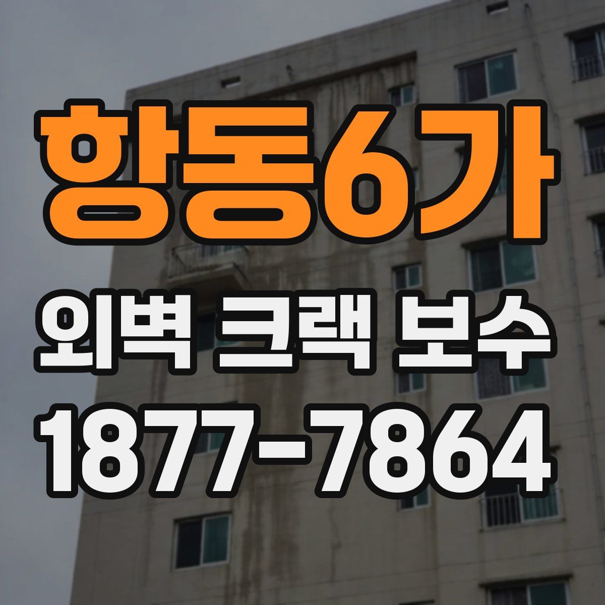 항동6가 외벽 크랙 보수