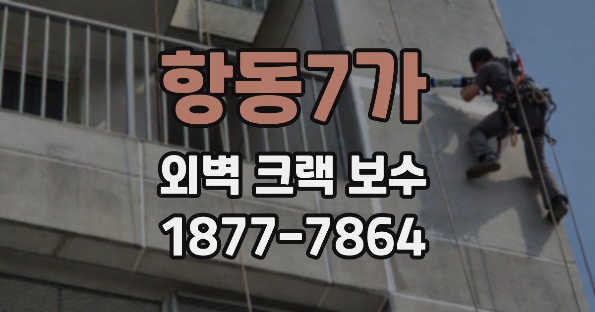 항동7가 외벽 크랙 보수