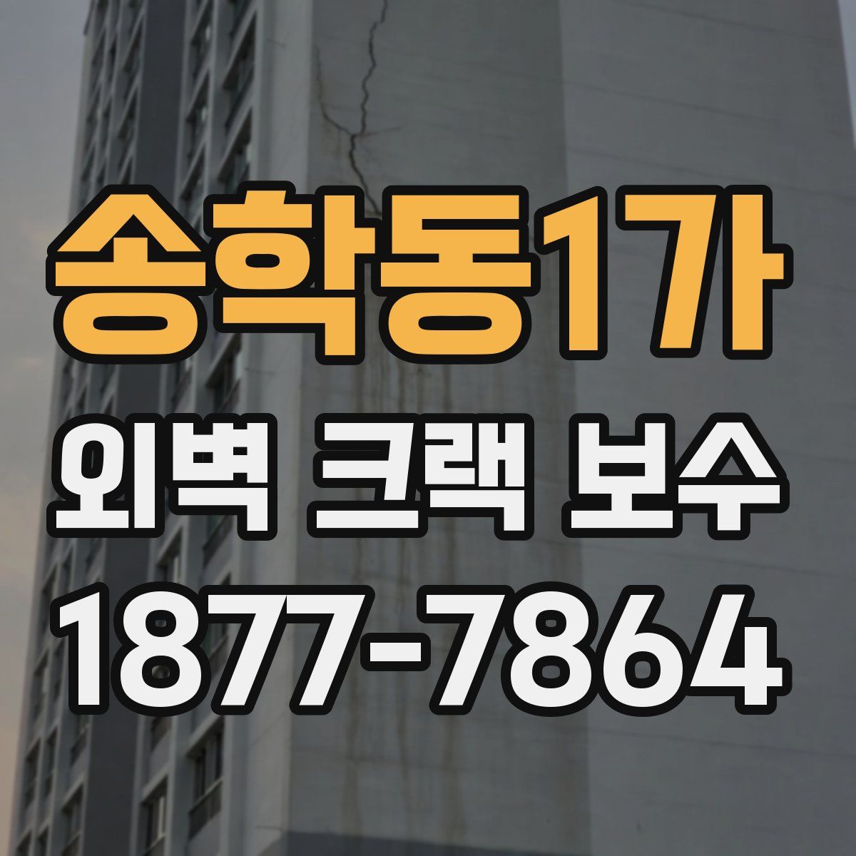송학동1가 외벽 크랙 보수