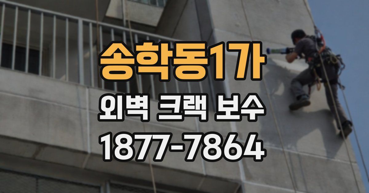 송학동1가 외벽 크랙 보수