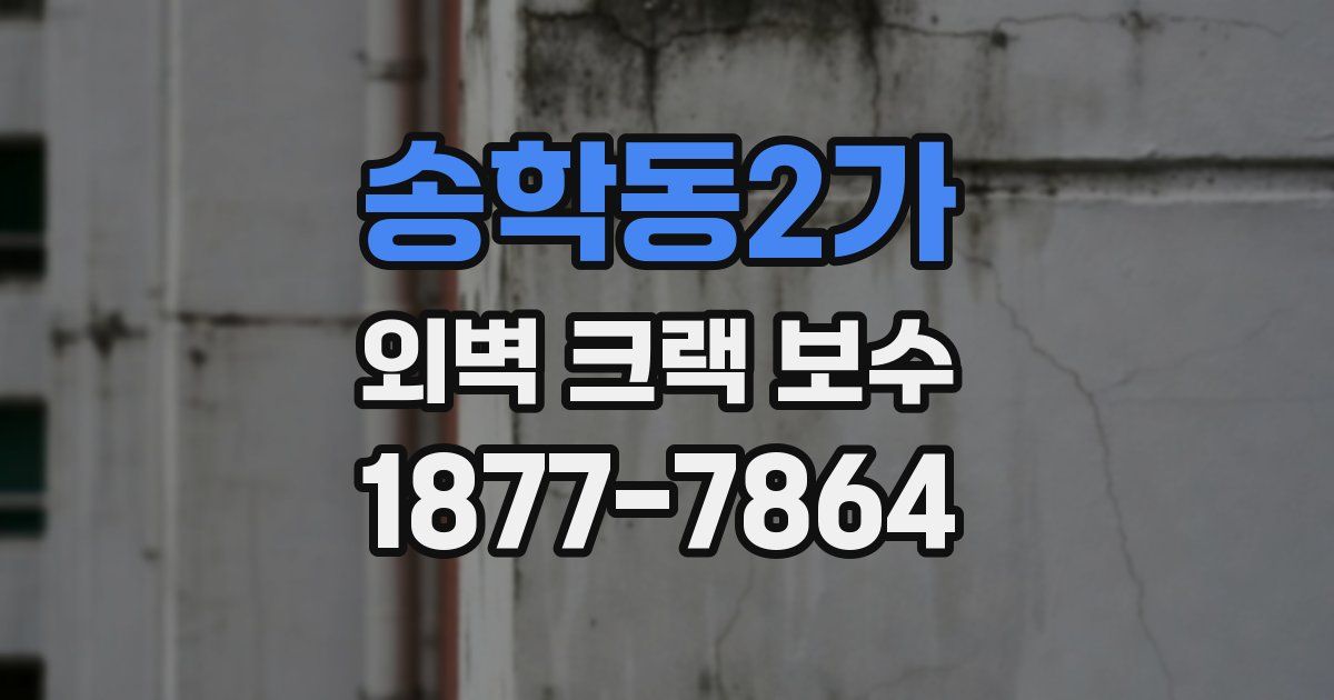송학동2가 외벽 크랙 보수