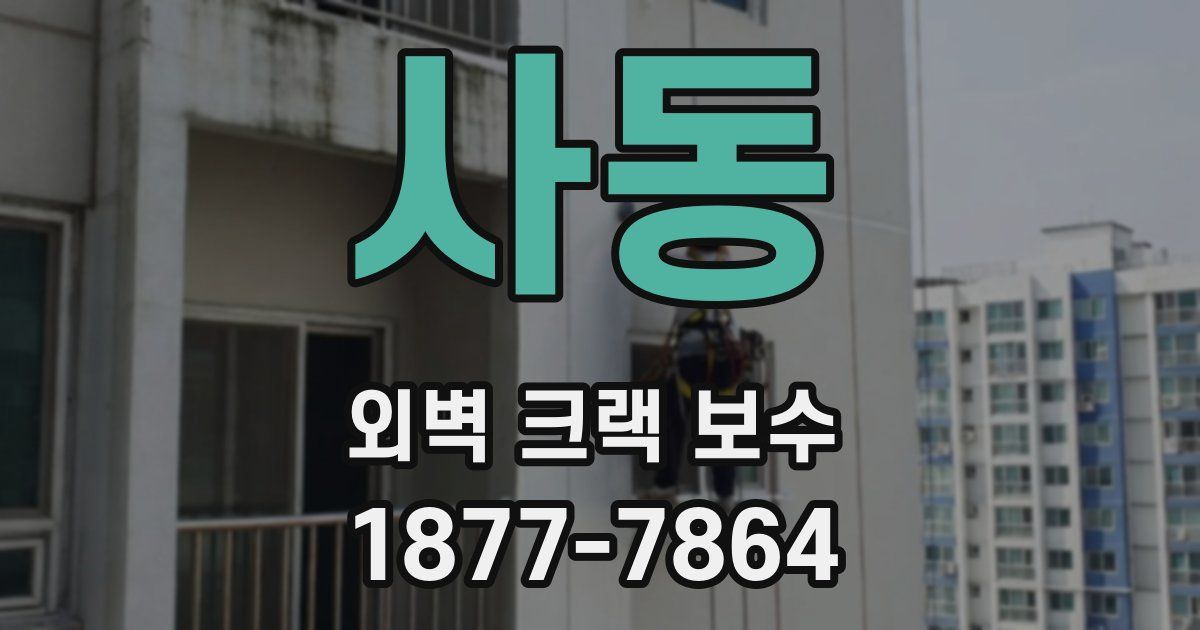 사동 외벽 크랙 보수