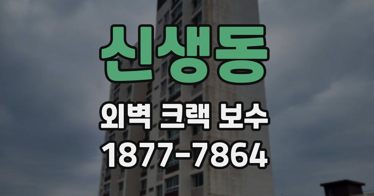 신생동 외벽 크랙 보수