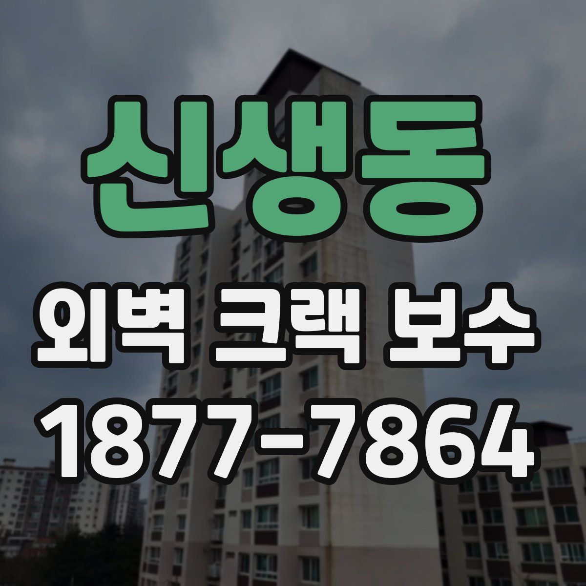 신생동 외벽 크랙 보수