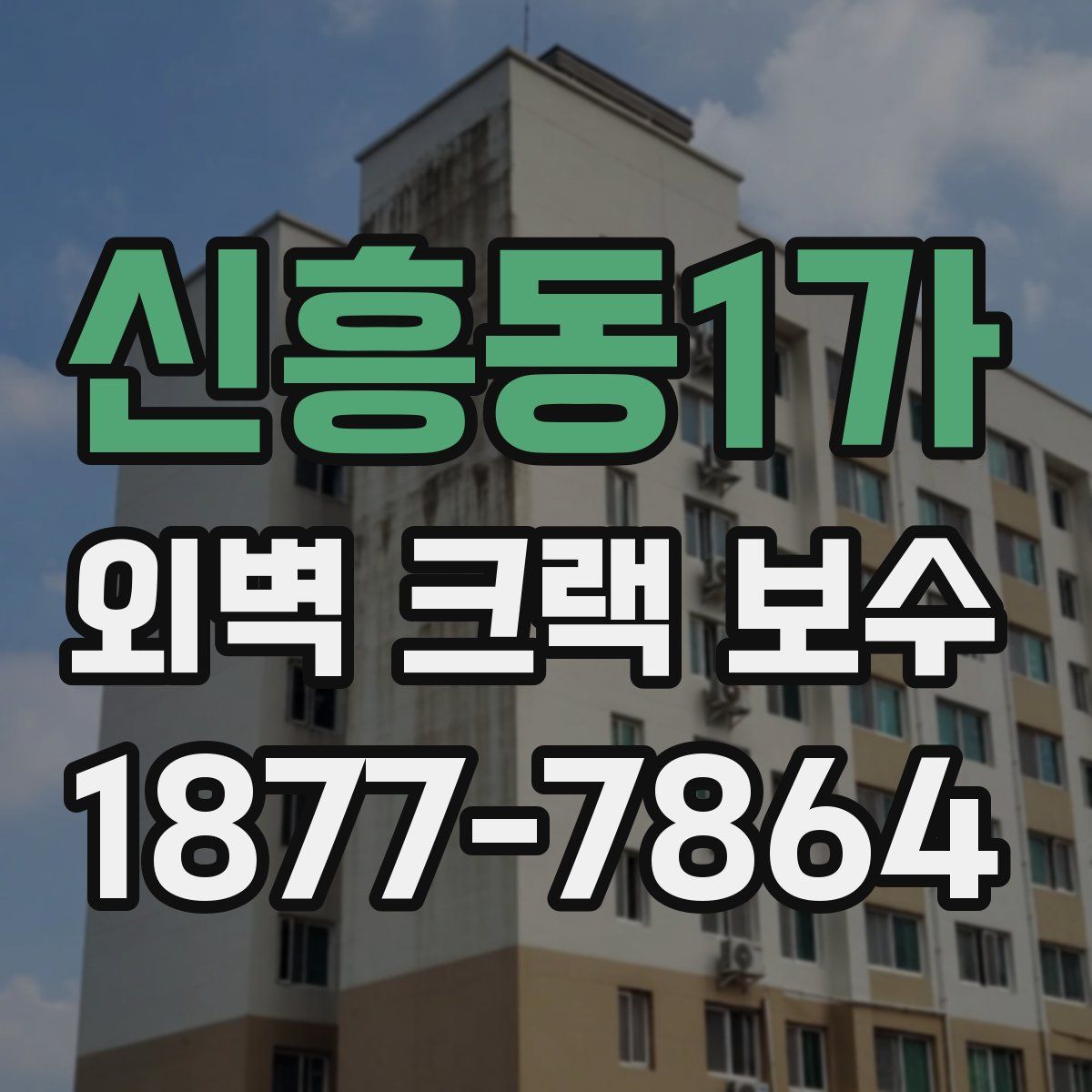 신흥동1가 외벽 크랙 보수