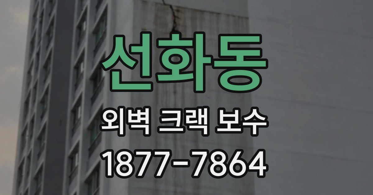 선화동 외벽 크랙 보수