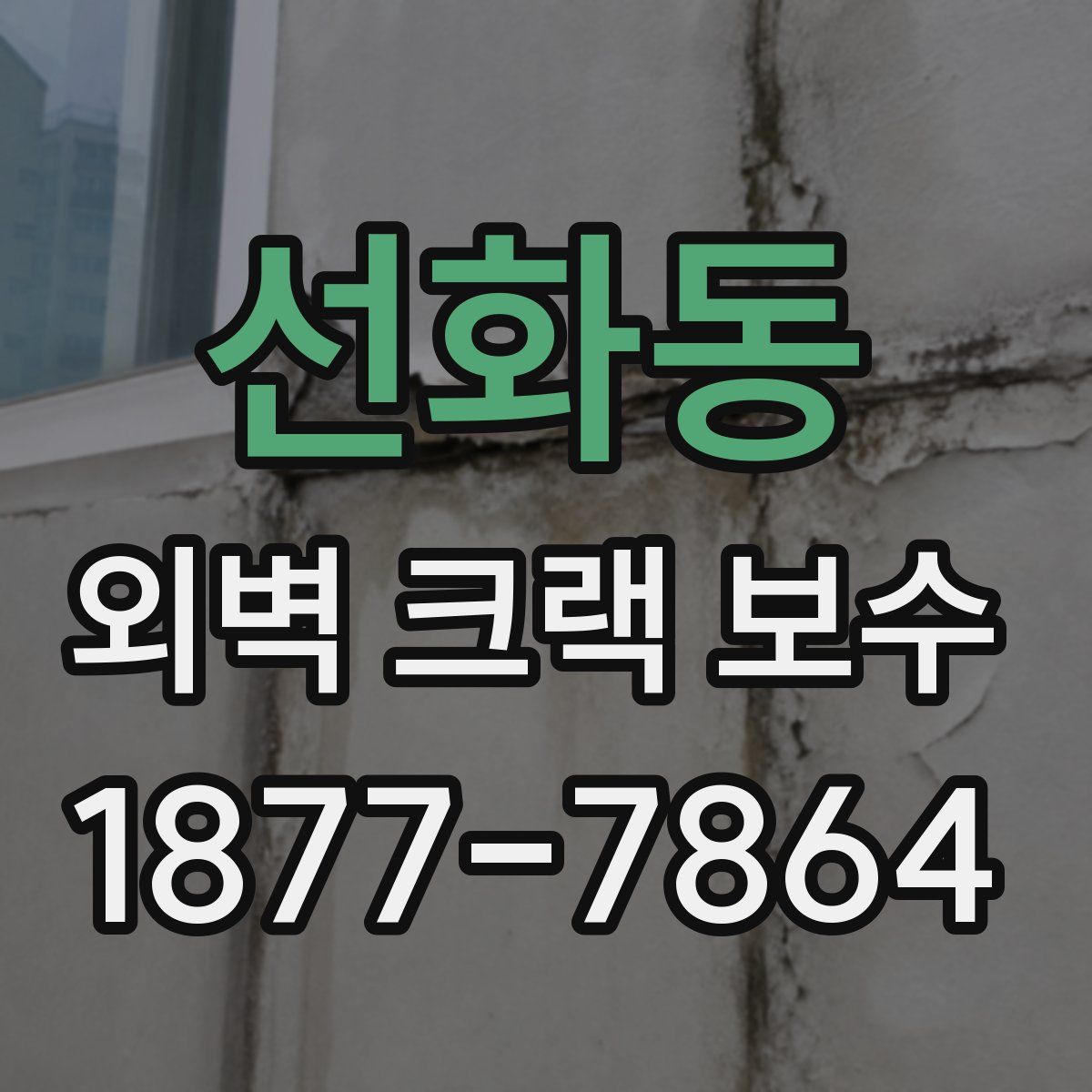 선화동 외벽 크랙 보수