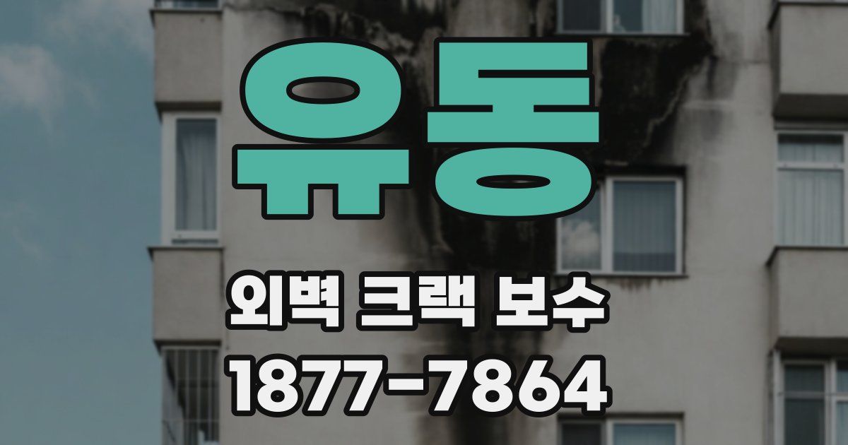 유동 외벽 크랙 보수