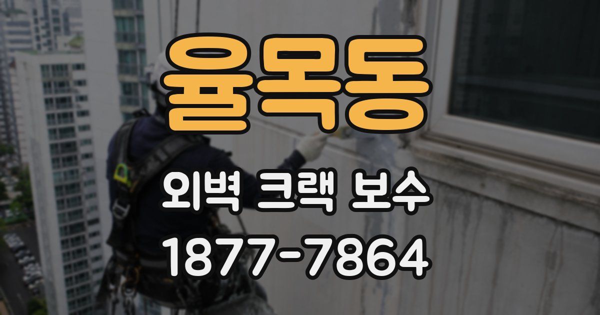 율목동 외벽 크랙 보수