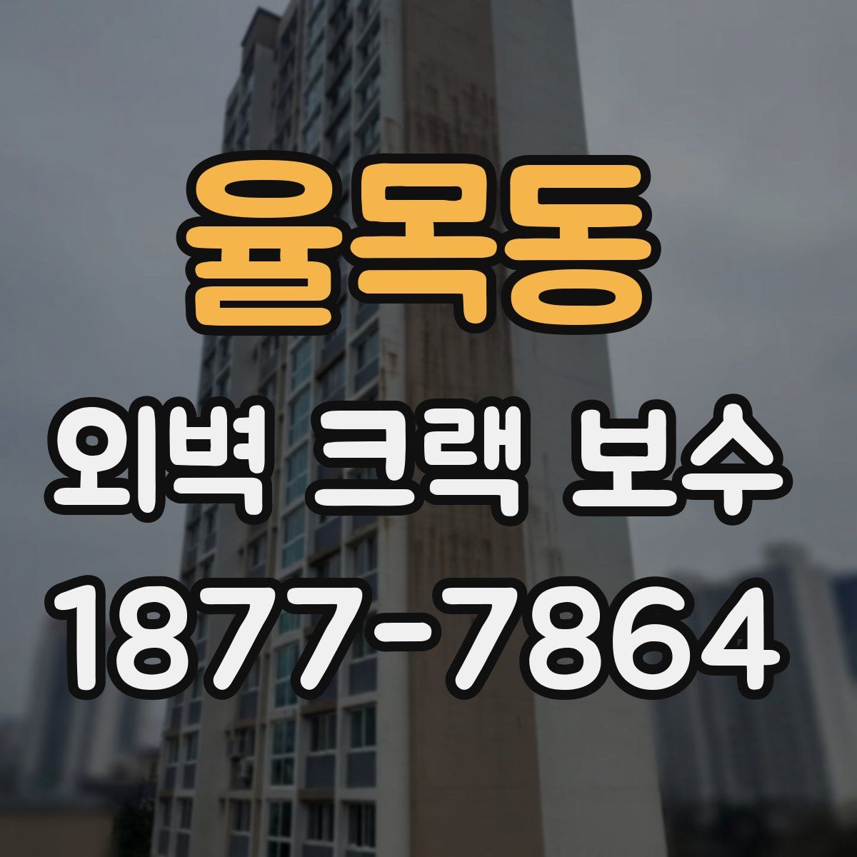 율목동 외벽 크랙 보수