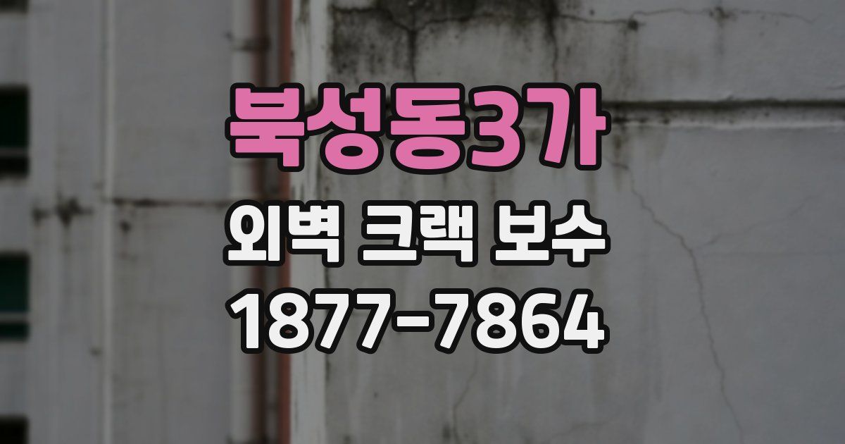 북성동3가 외벽 크랙 보수