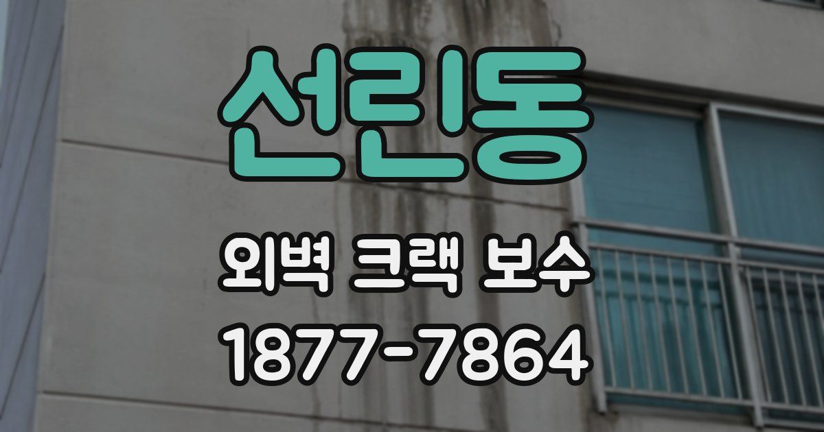 선린동 외벽 크랙 보수