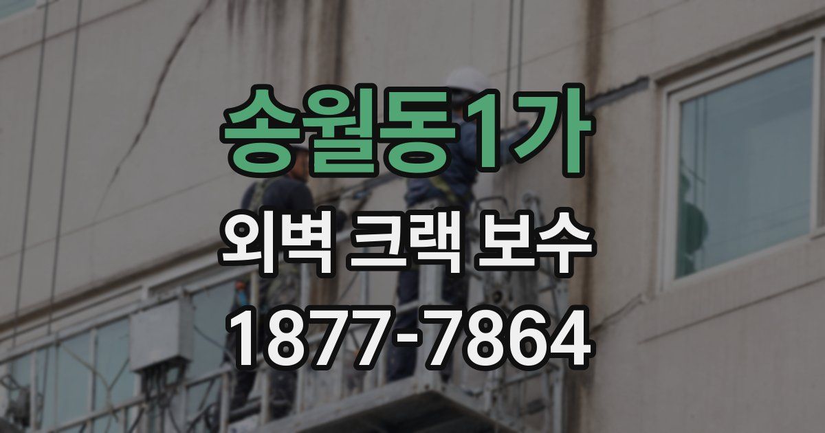 송월동1가 외벽 크랙 보수