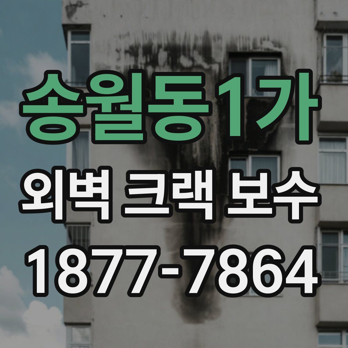 송월동1가 외벽 크랙 보수