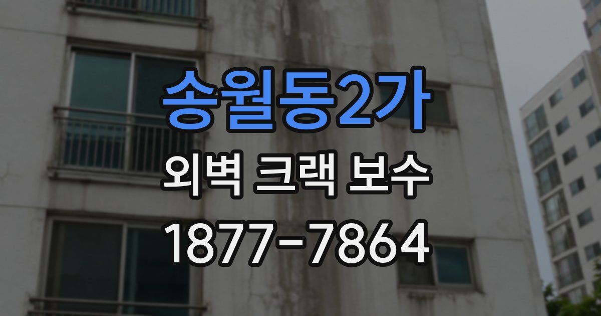 송월동2가 외벽 크랙 보수