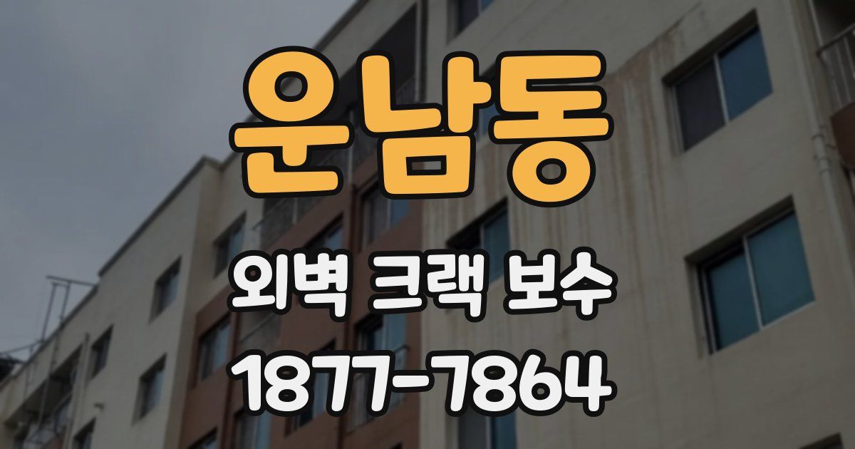 운남동 외벽 크랙 보수