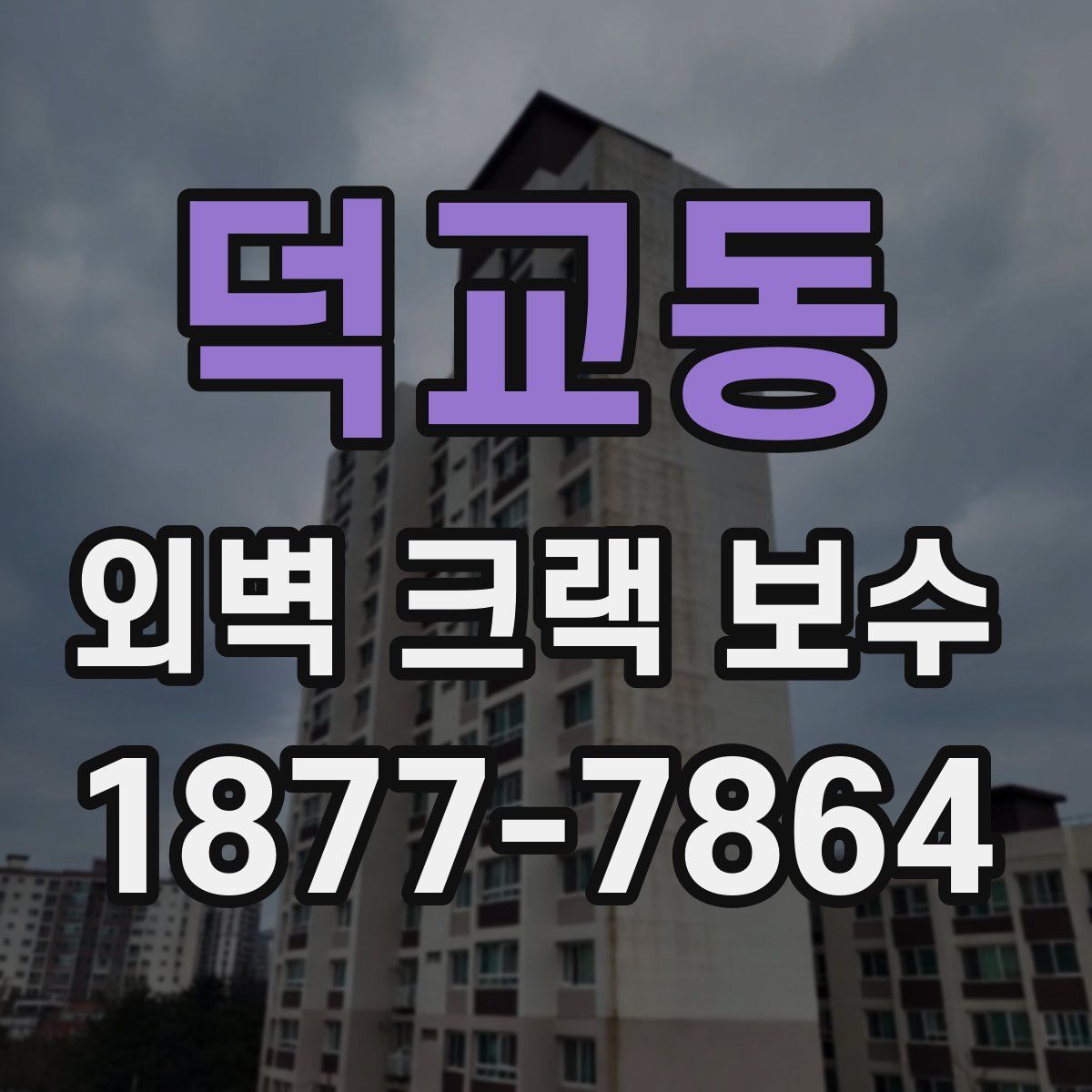 덕교동 외벽 크랙 보수
