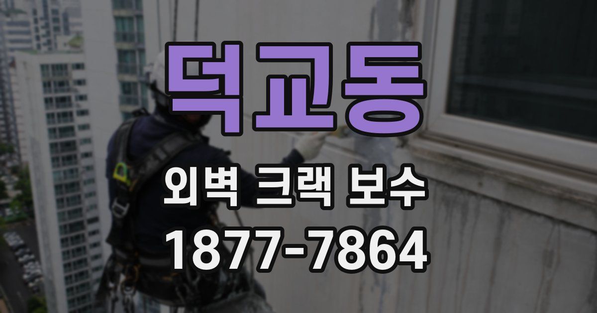 덕교동 외벽 크랙 보수