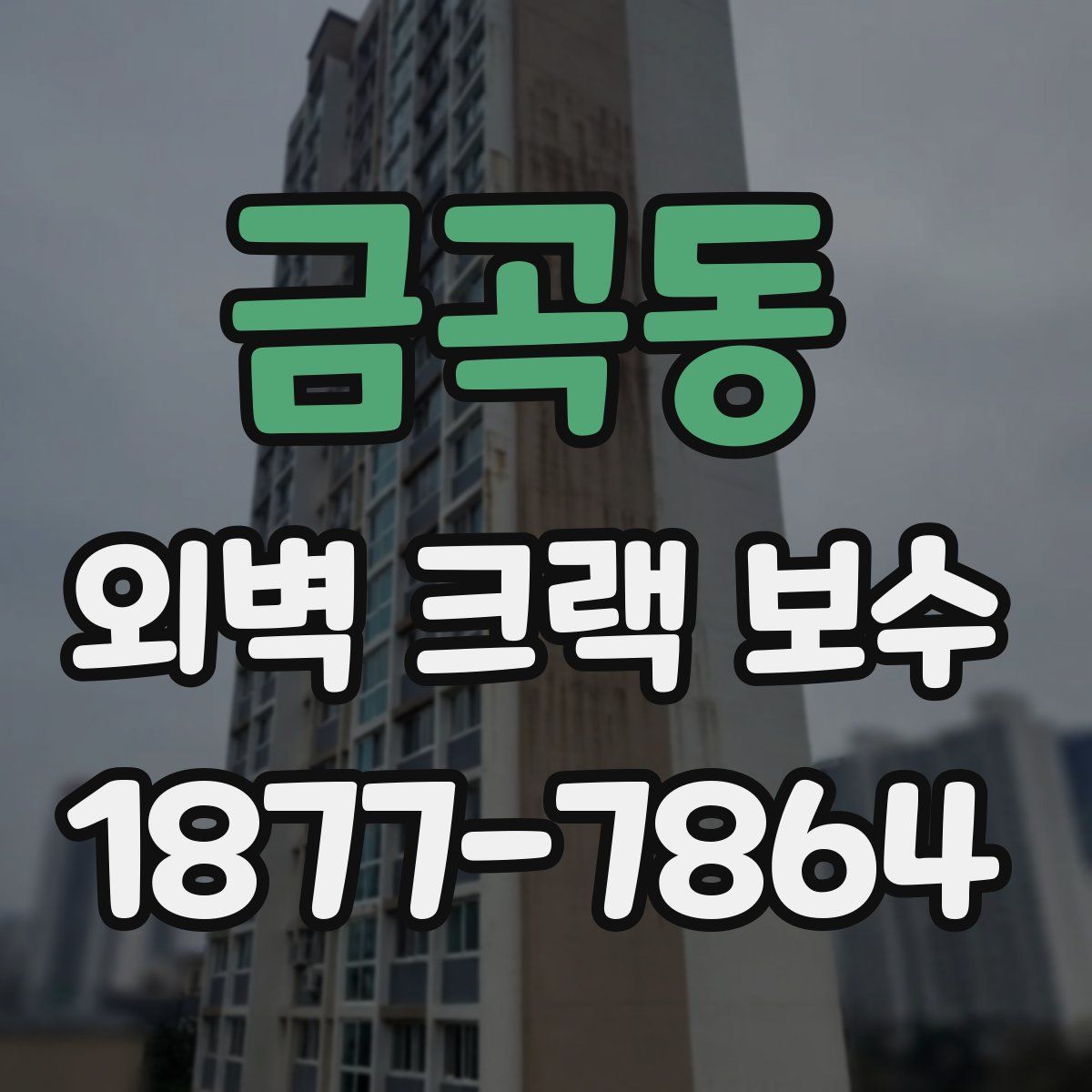 금곡동 외벽 크랙 보수