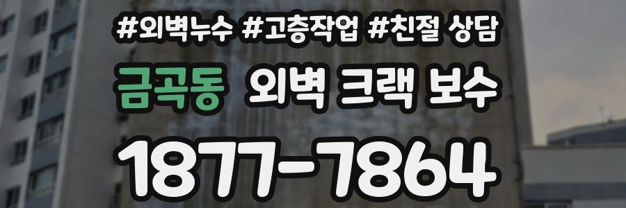 금곡동 외벽 크랙 보수