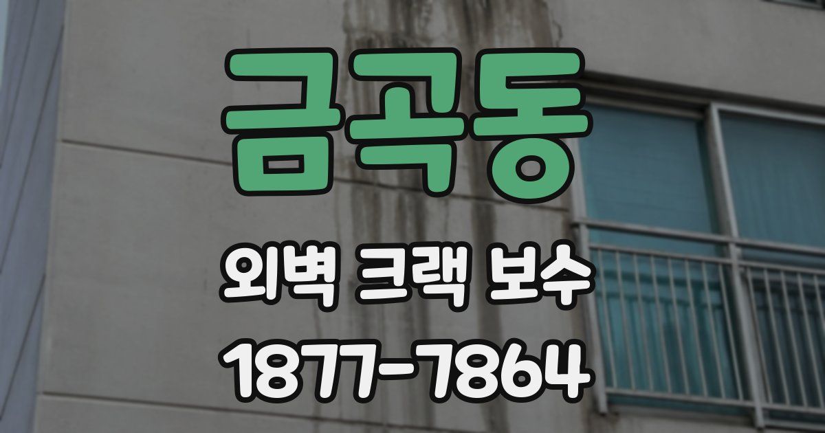 금곡동 외벽 크랙 보수