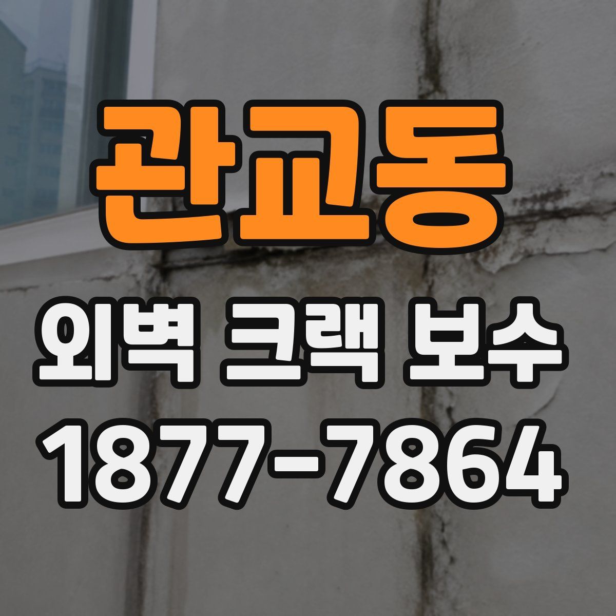 관교동 외벽 크랙 보수