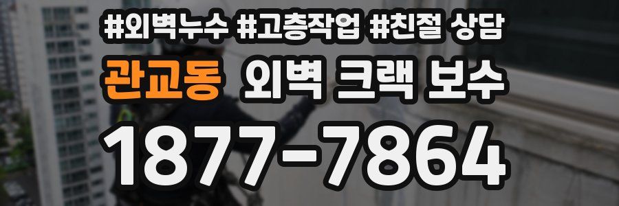 관교동 외벽 크랙 보수