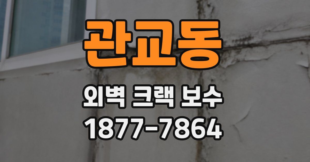 관교동 외벽 크랙 보수