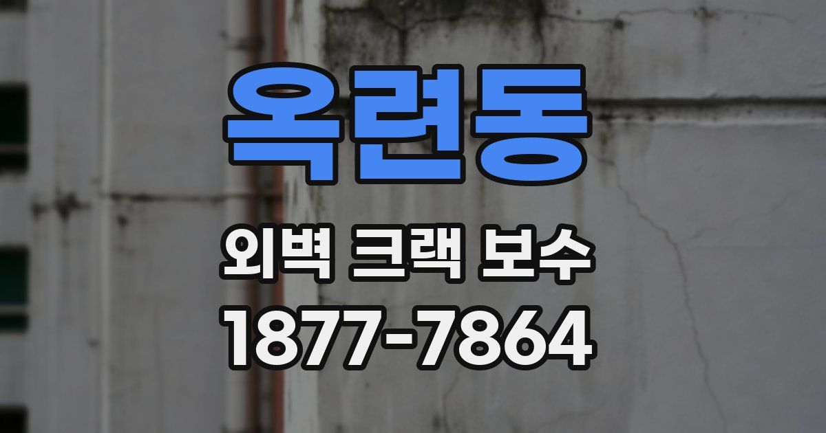 옥련동 외벽 크랙 보수