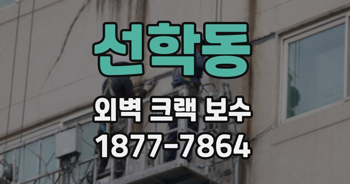 선학동 외벽 크랙 보수