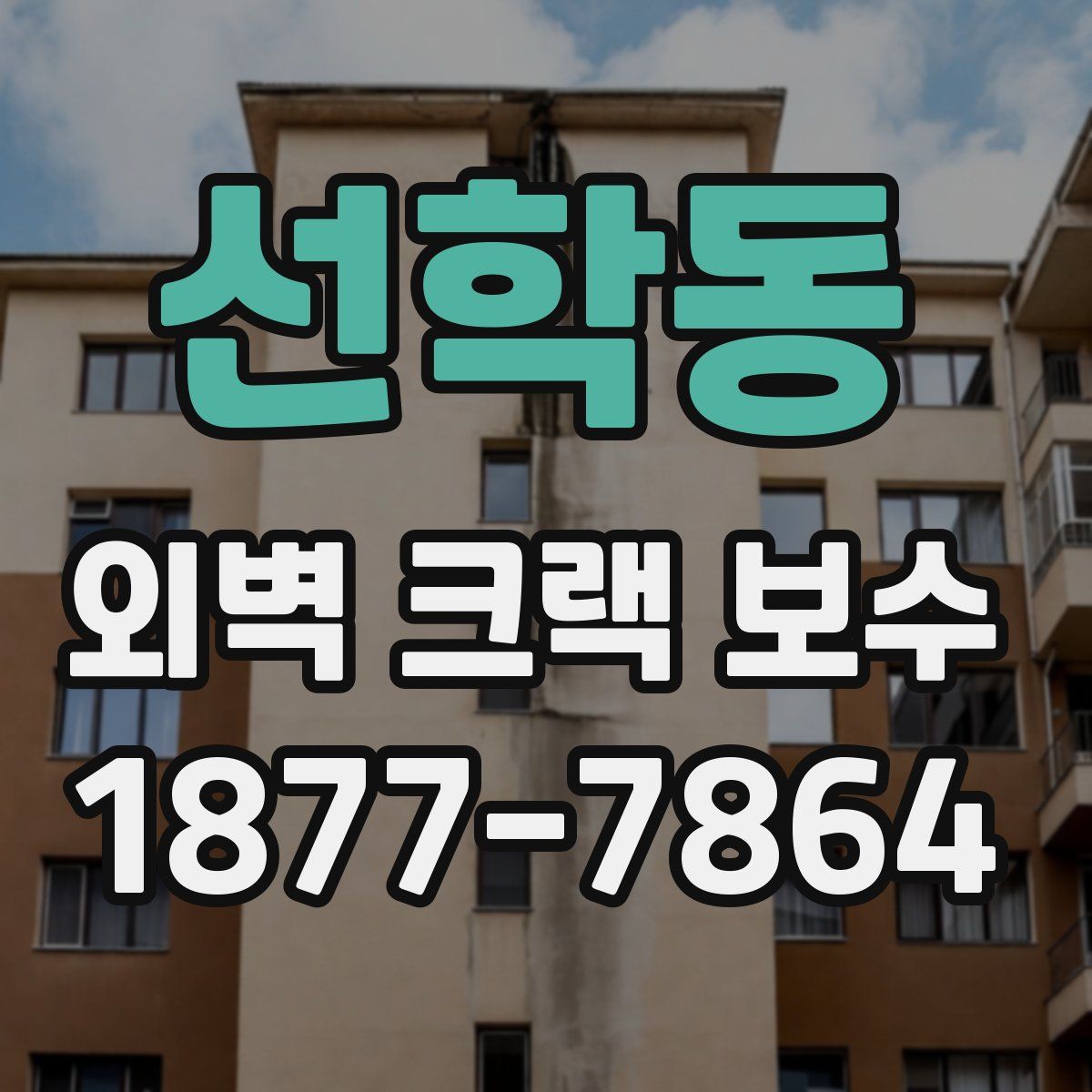 선학동 외벽 크랙 보수