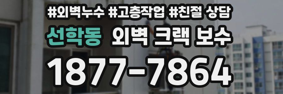 선학동 외벽 크랙 보수