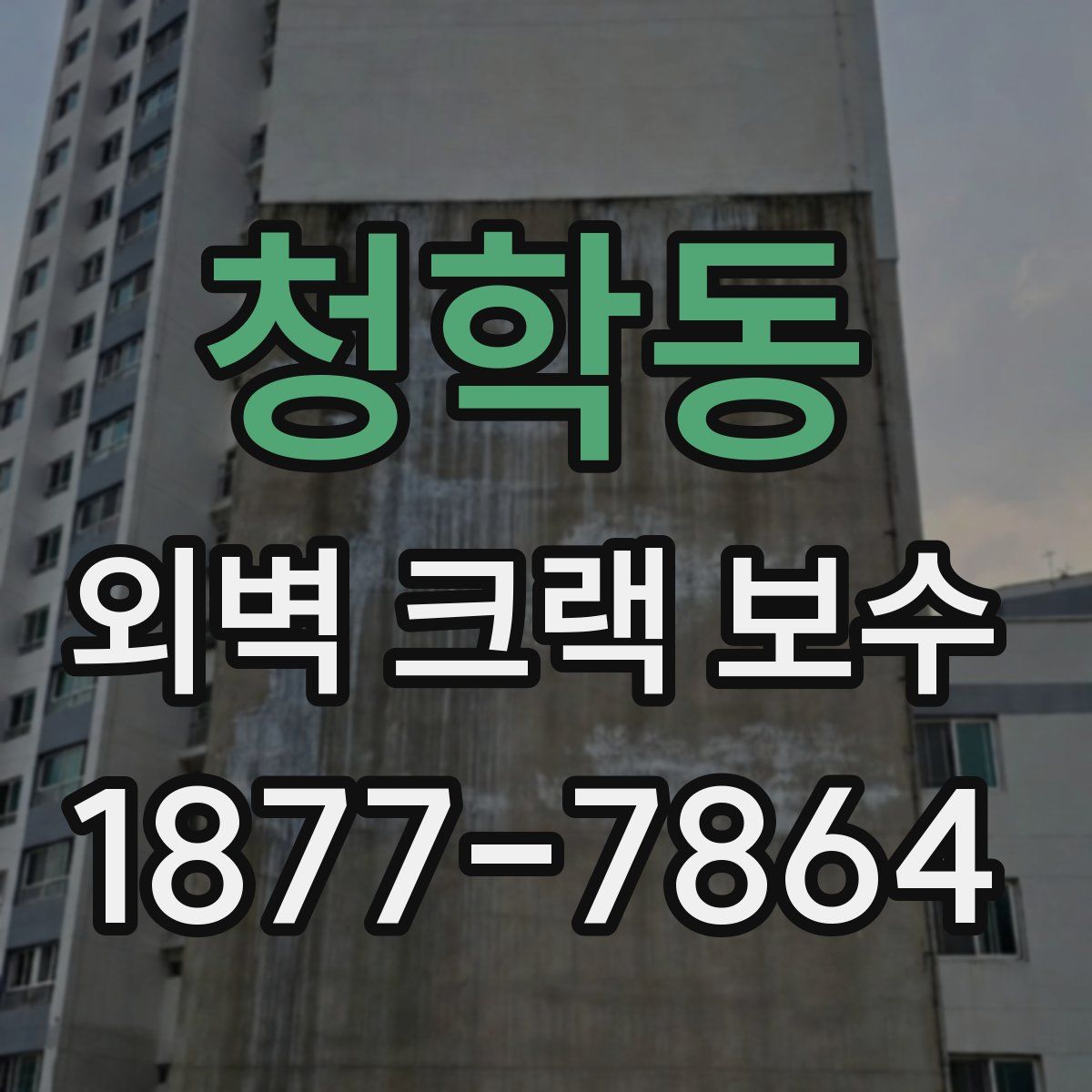 청학동 외벽 크랙 보수