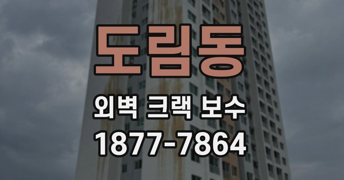 도림동 외벽 크랙 보수
