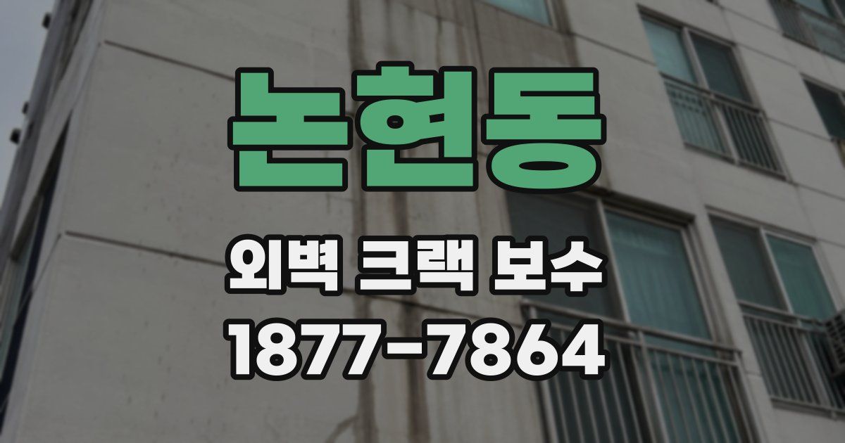 논현동 외벽 크랙 보수