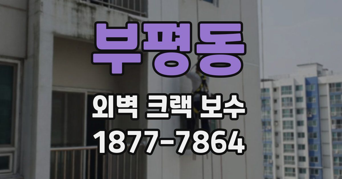 부평동 외벽 크랙 보수