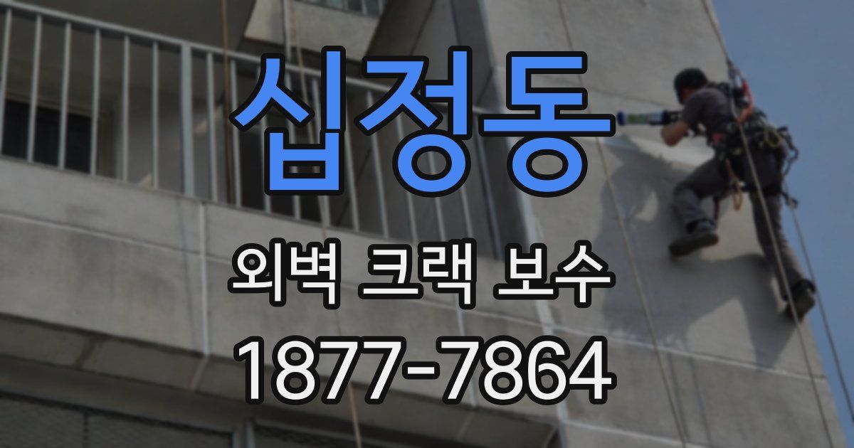 십정동 외벽 크랙 보수