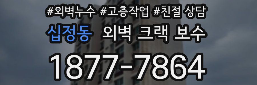 십정동 외벽 크랙 보수