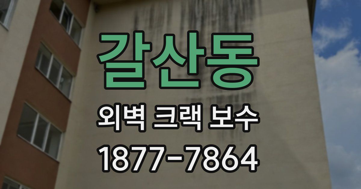 갈산동 외벽 크랙 보수