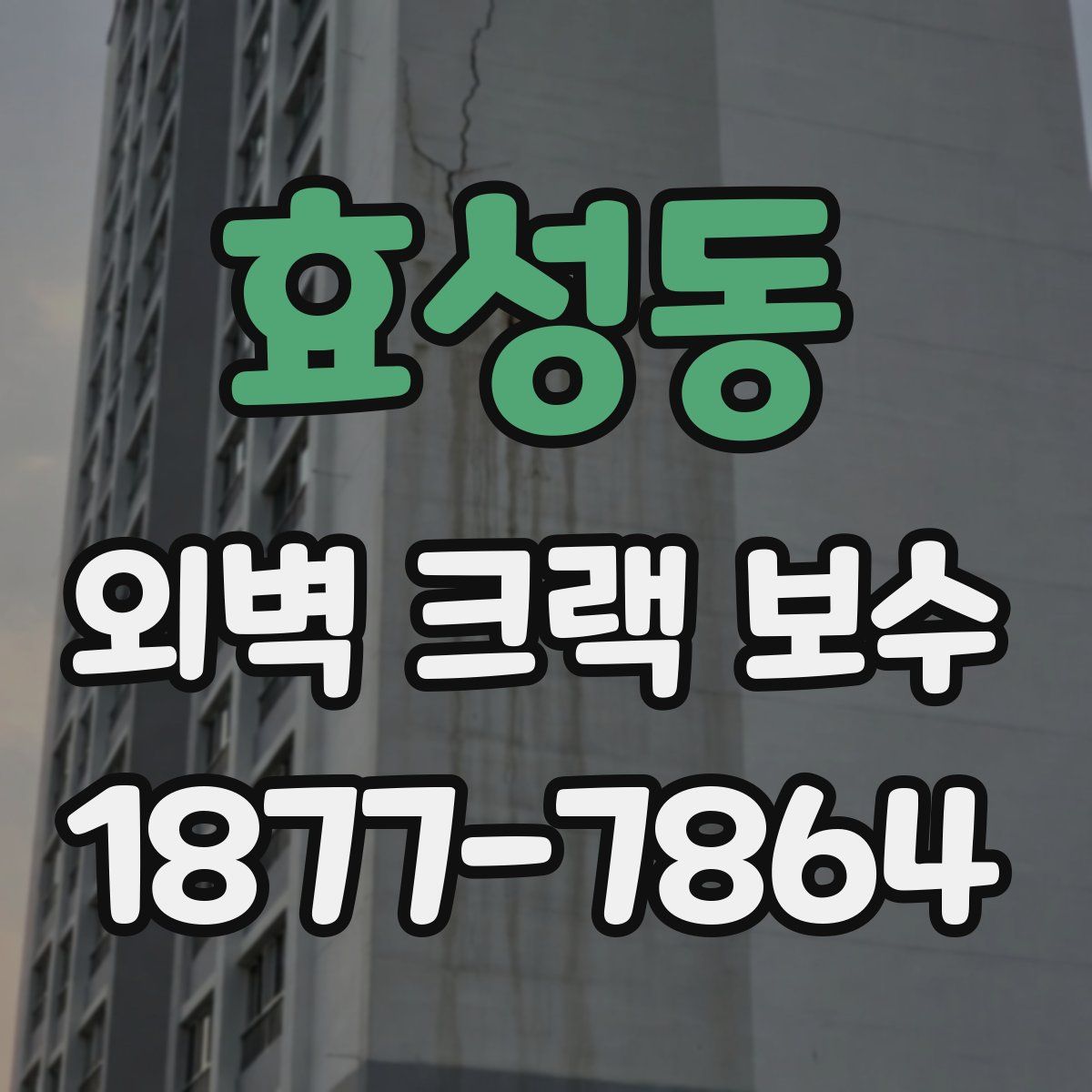 효성동 외벽 크랙 보수