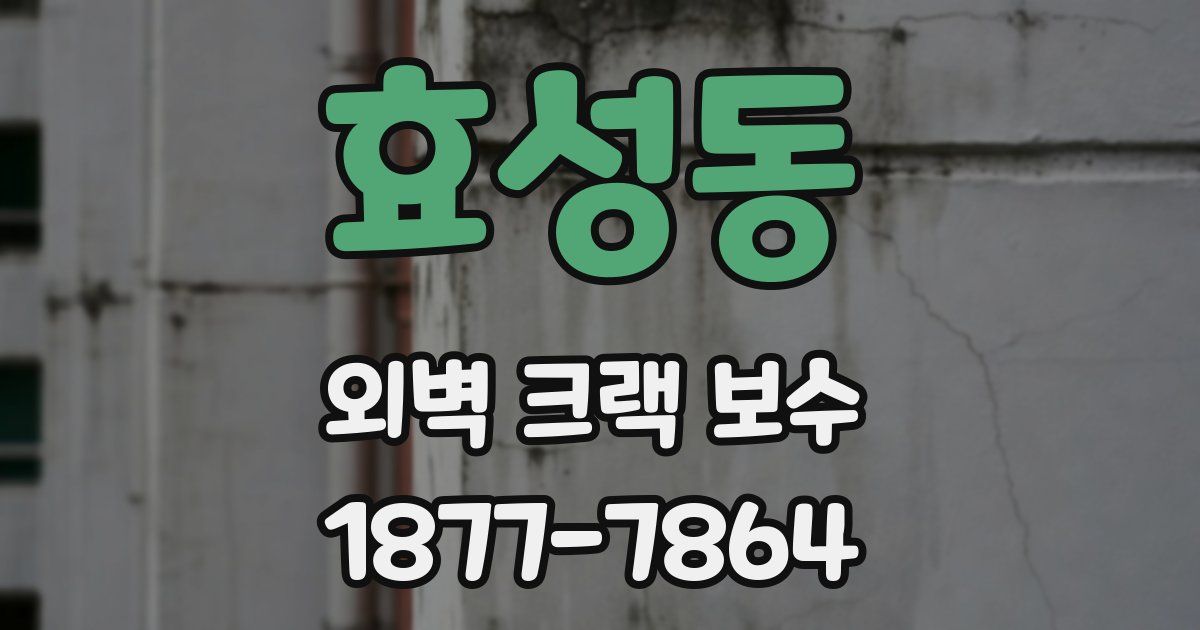 효성동 외벽 크랙 보수