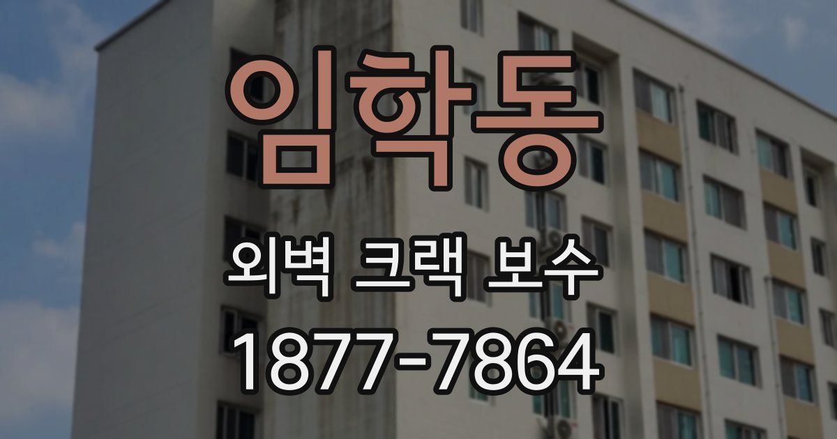 임학동 외벽 크랙 보수