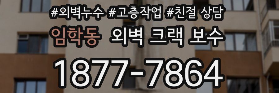 임학동 외벽 크랙 보수