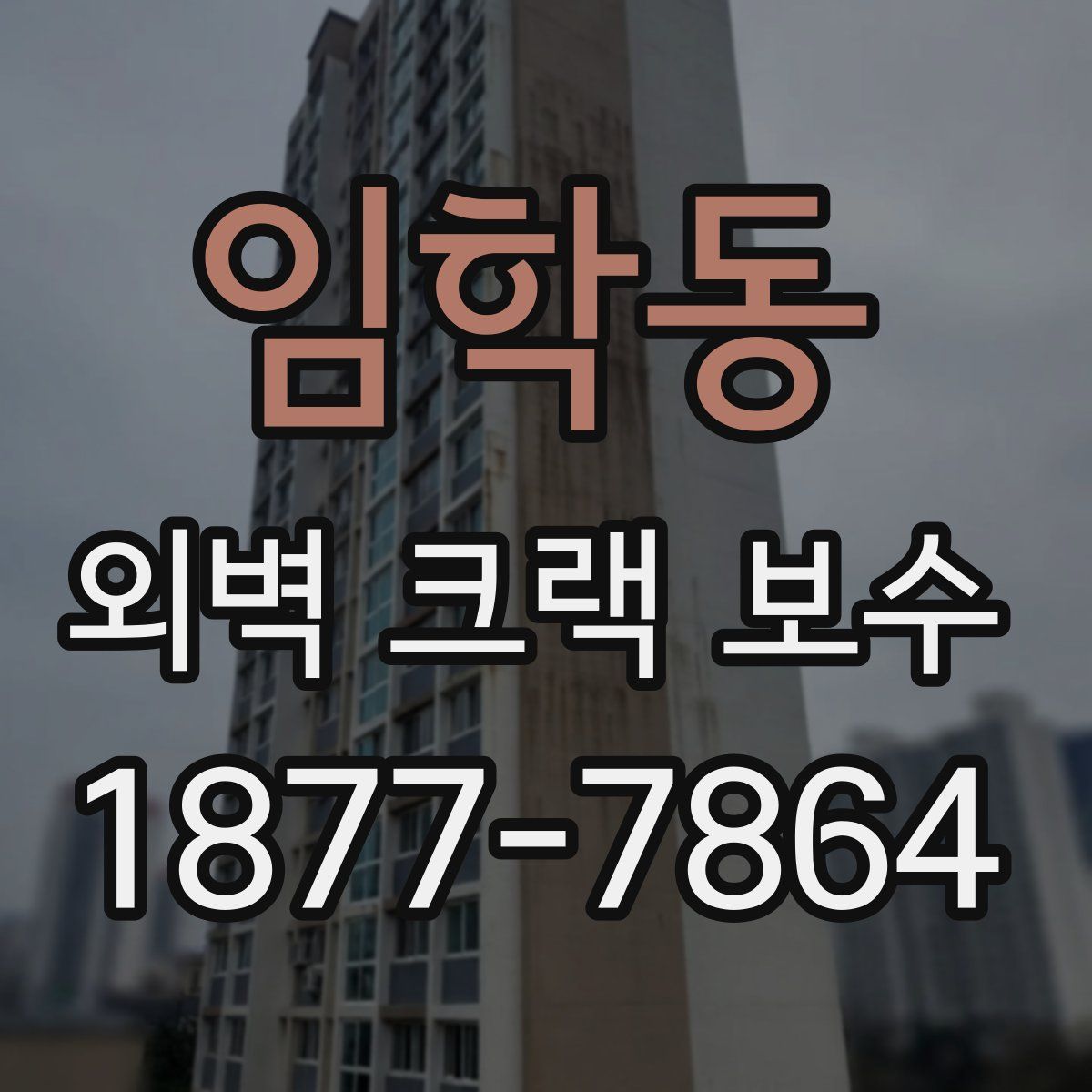 임학동 외벽 크랙 보수